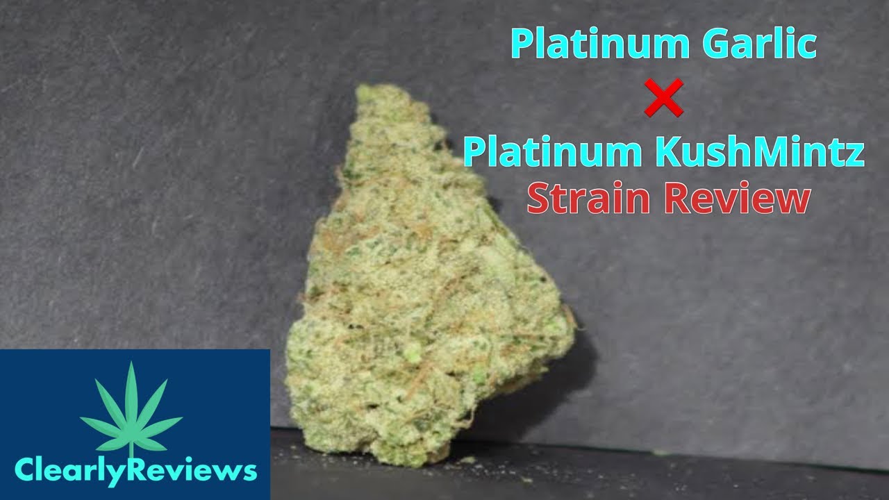 Platinum Garlic X Platinum KushMintz By @harborhousecollective  STRAIN REVIEW