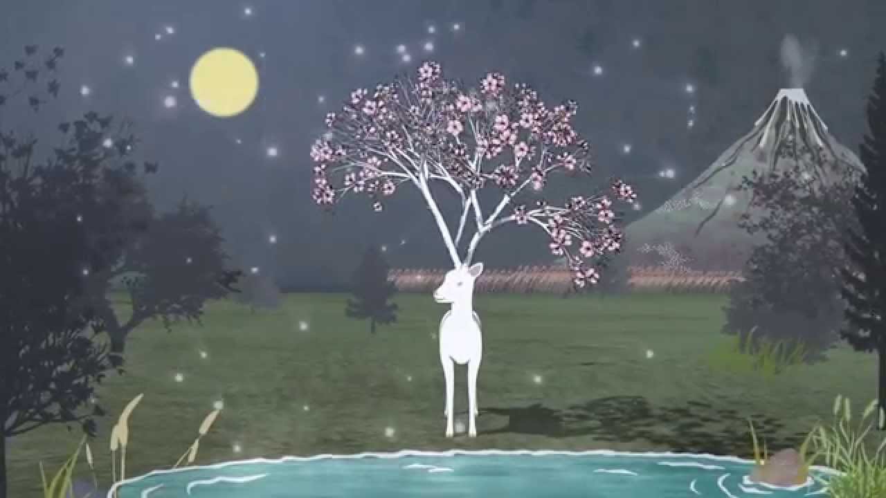 [채널W] 