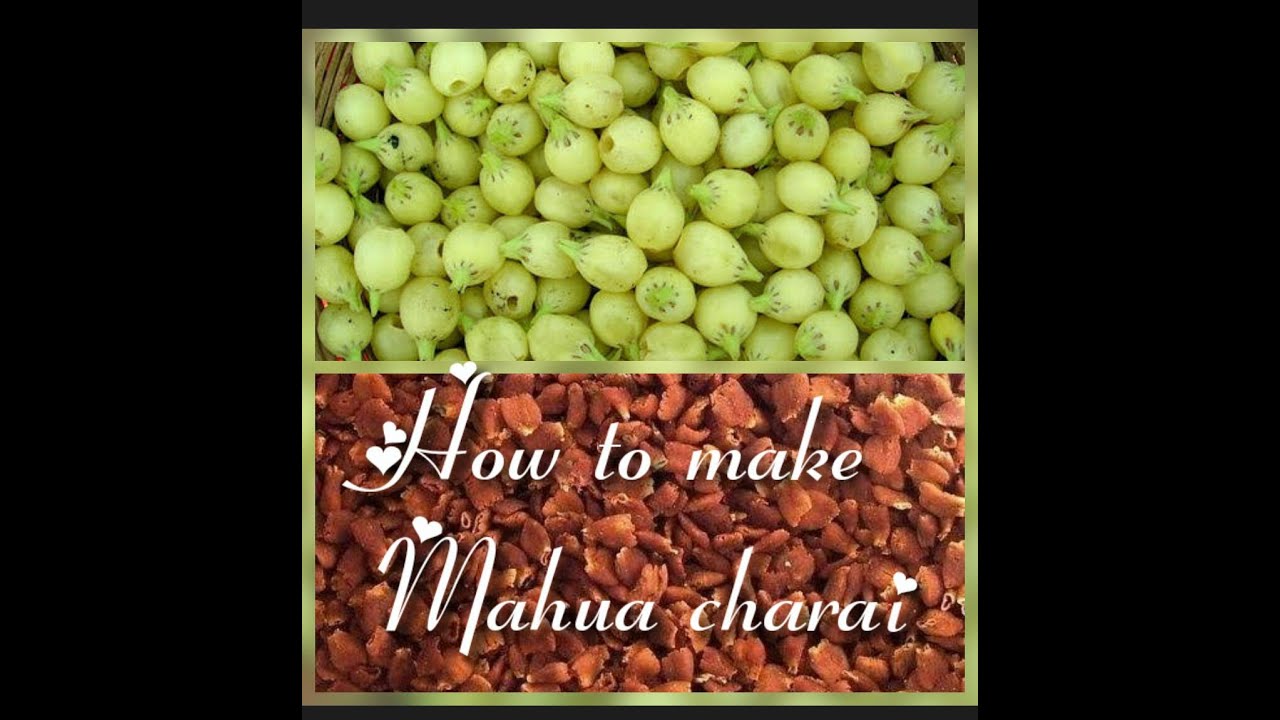 Mawa/ Mahua Charai / Fishing Tools / Episode # 5: How to make mawa for charai? 
