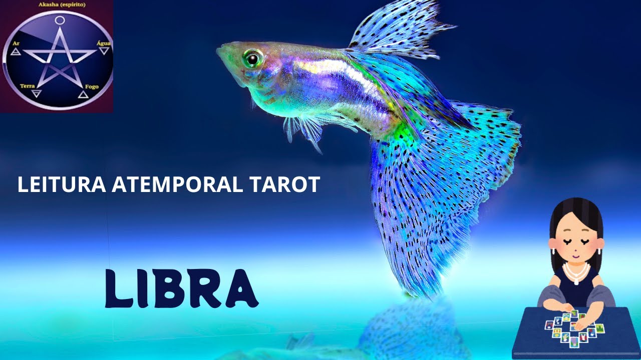 ♎LIBRA - MENSAGEM(S) PROMISSORA(S). ALGUEM(S) JÁ TE OBSERVA.