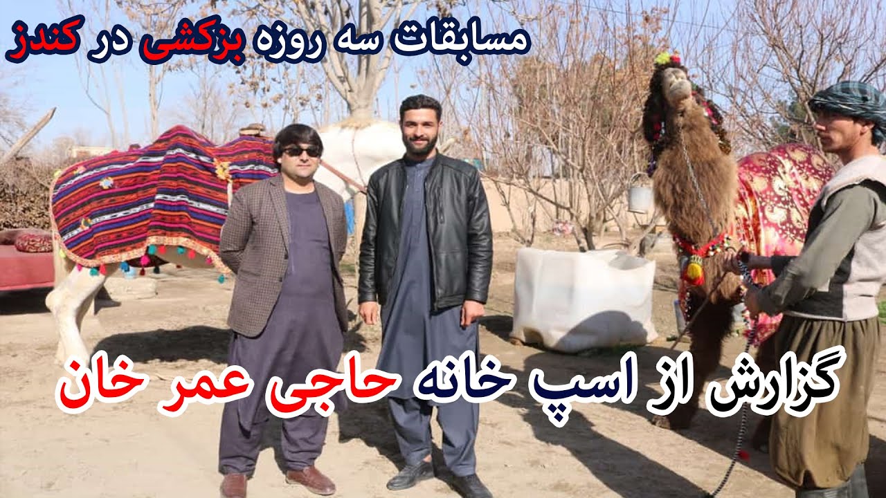 گزارشی از اسپ خانه حاجی عمر خان وآمادگی ها برای مسابقات سه روزه بزکشی میان ولایات در کندز| تبسم شهر