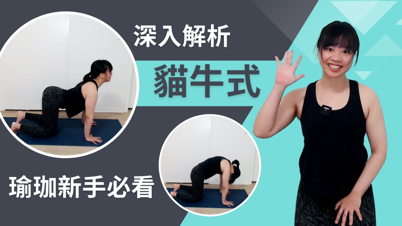貓牛式深入解析 | 提升脊椎靈活度 | 瑜珈初學者必看 | 怎麼做 貓牛式 瑜伽 | How to do Cat-Cow Pose |