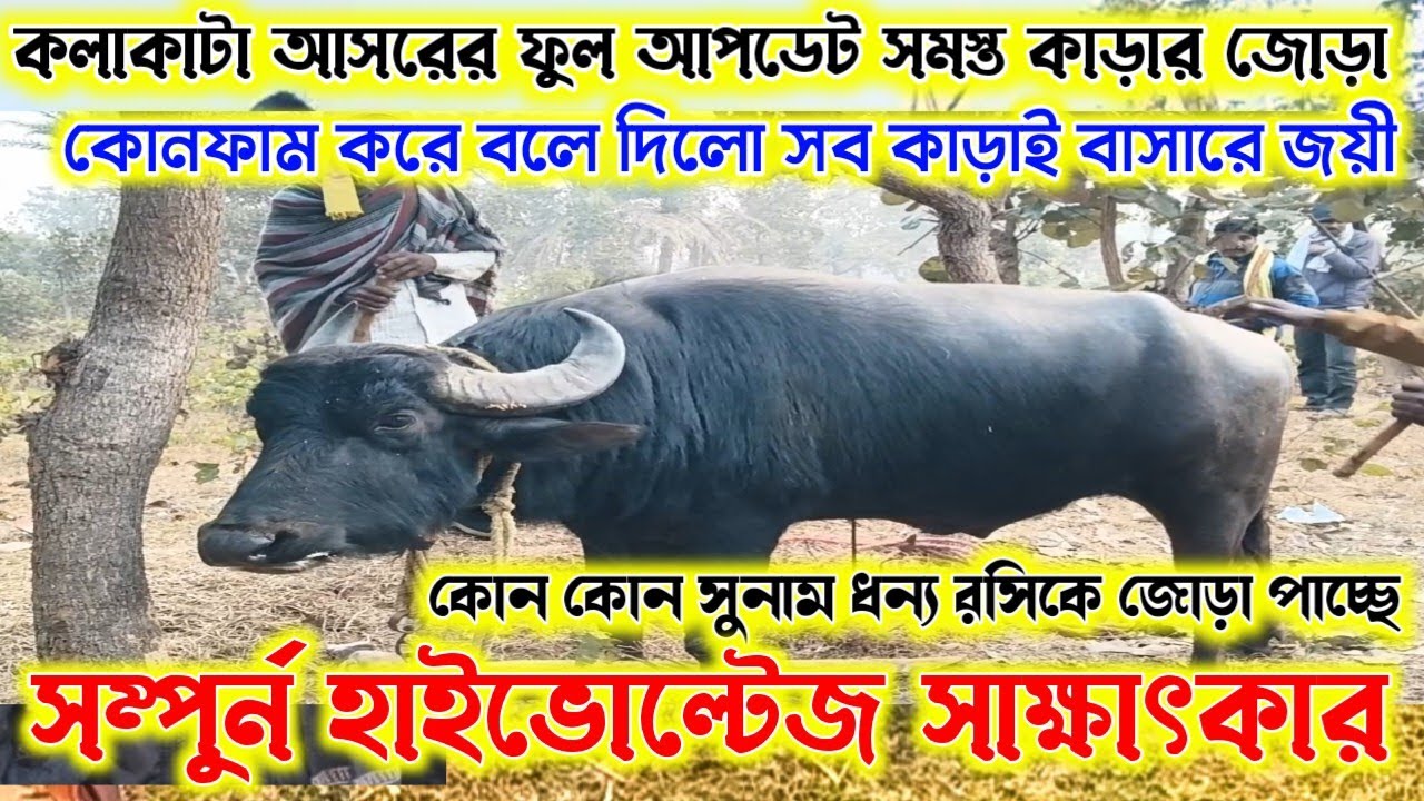 কলাকাটা আসরের ফুল আপডেট সমস্ত জোড়া কোনফার্ম হলো। কোন কোন সুনাম ধন্য রসিক জোড়া পাচ্ছে দেখুন। 