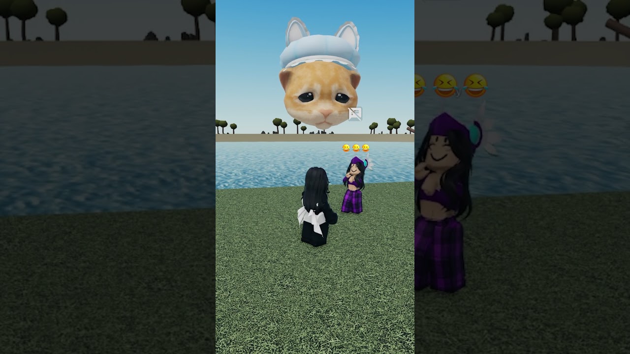 Cat please save me 🥺❤️
