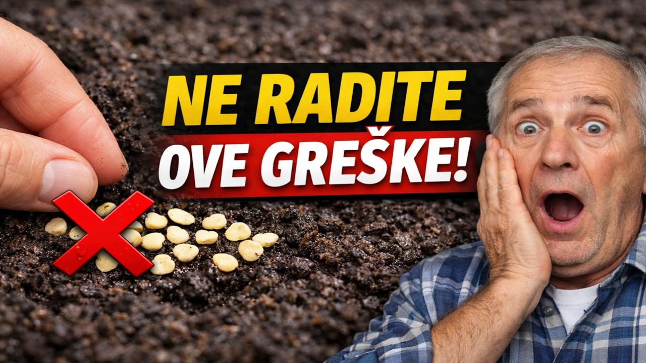 NE RADITE OVE GREŠKE! Tajna metoda za 100% klijavost paprike!