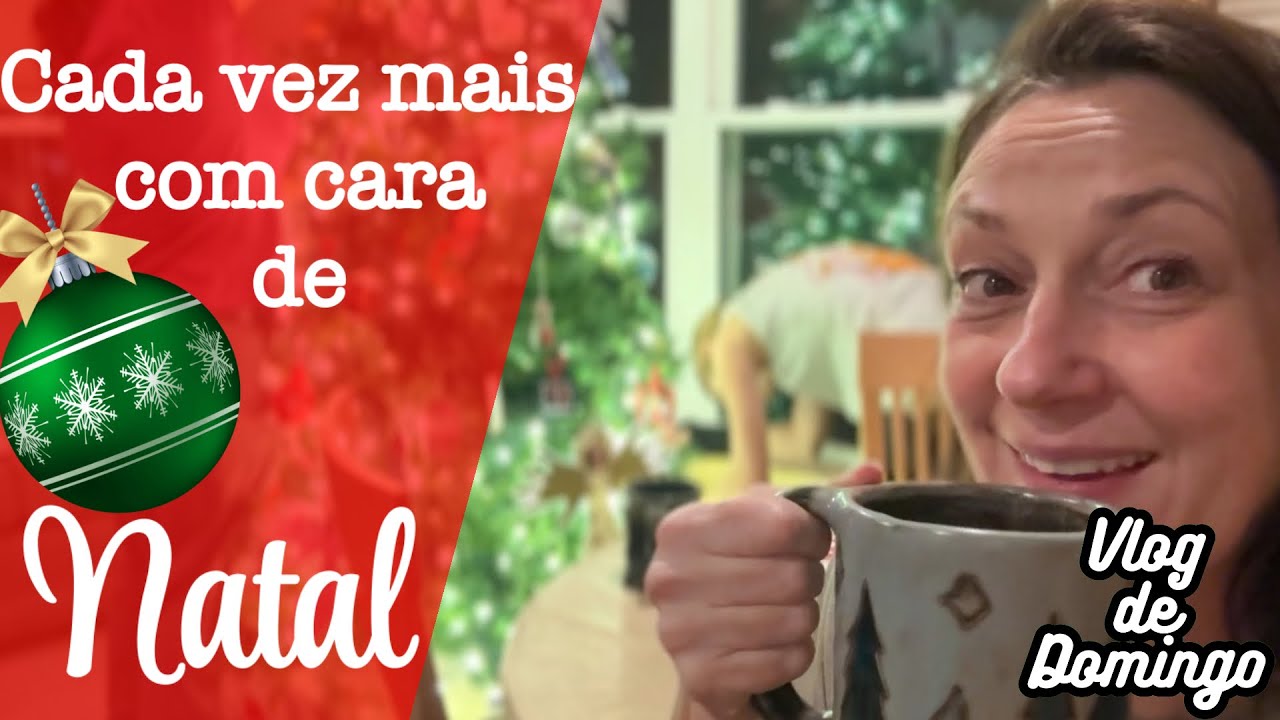 ESTÁ CADA VEZ MAIS COM CARA DE NATAL! (VLOG DE DOMINGO) | VIDA NOS EUA