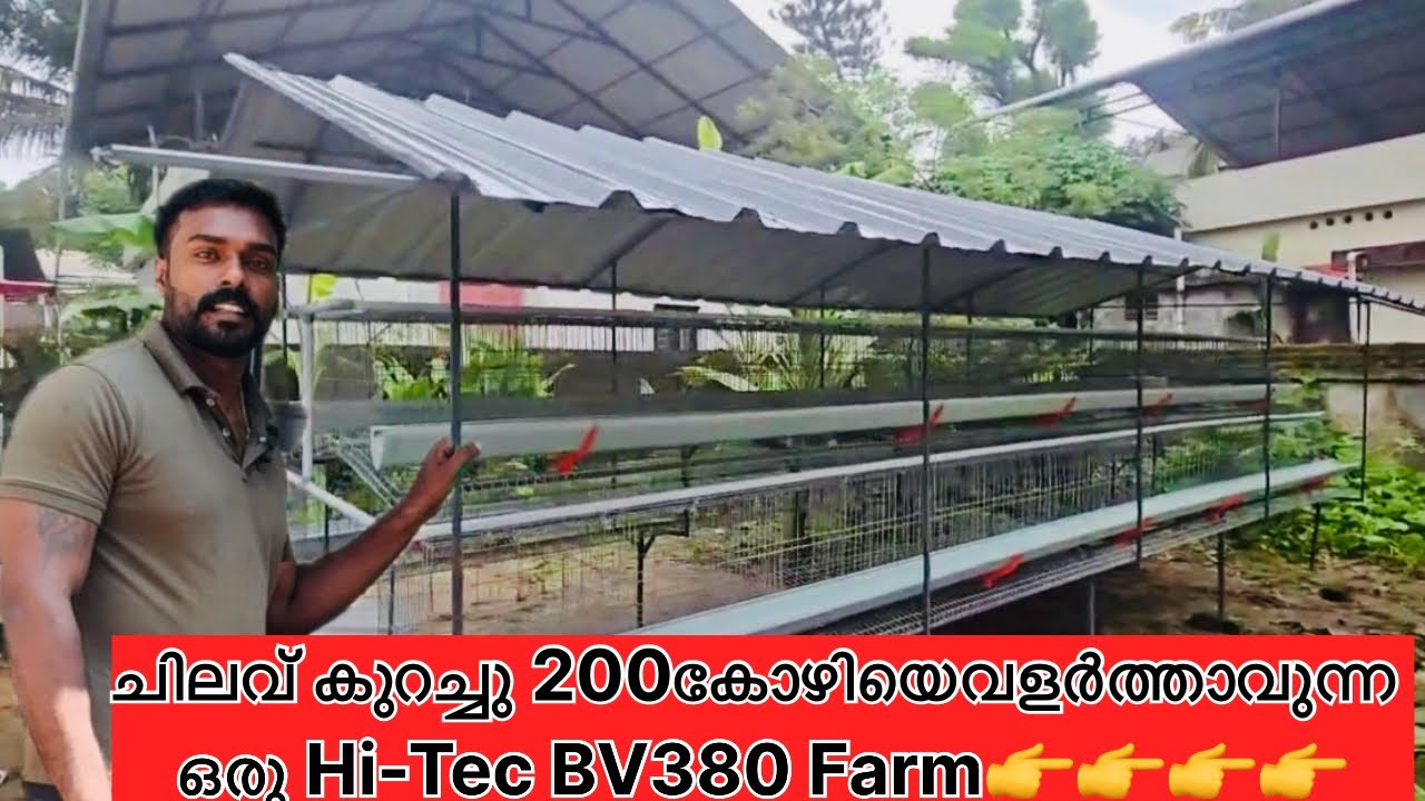 ചിലവ് കുറച്ചു ഒരു BV380 ഫാം നിർമാണം @kollam call 8289812614