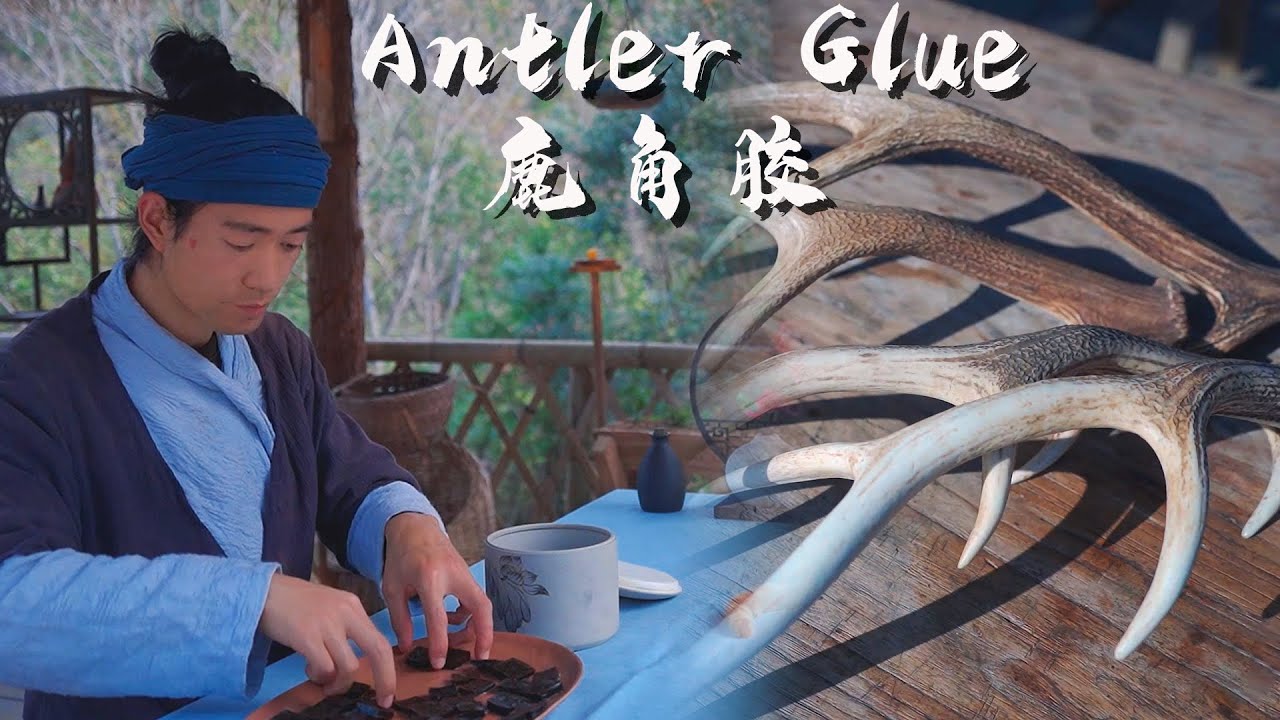 Make Ancient Antler Glue and Antler Cream with Sika Antlers