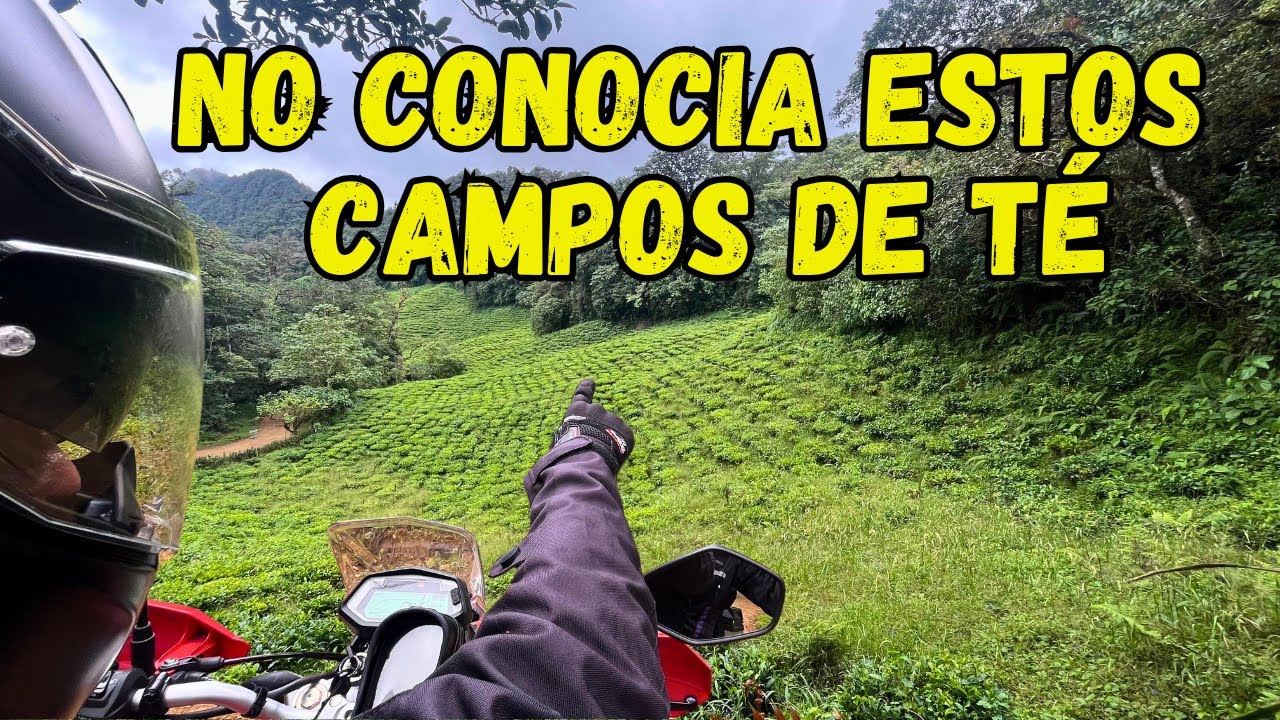 El secreto de DAPA | Encontre los CAMPOS DE TE HASTA | Motovlog