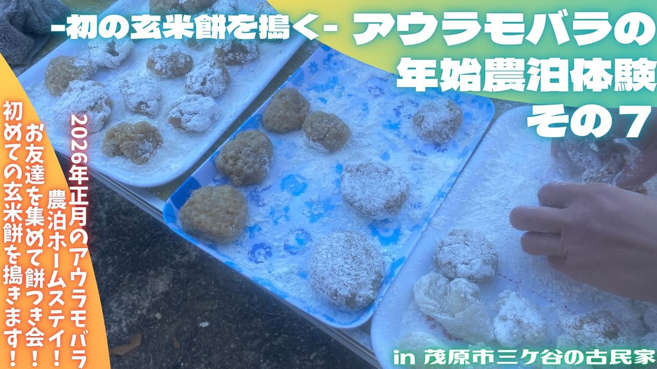 アウラモバラの年始農泊体験その７ -初の玄米餅を搗く-【里山再生・土壌改善・開拓型農業アクティビティ里山体験受付中】