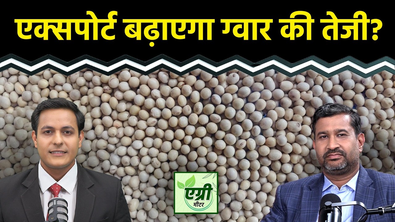 Agri Commodity : टेक्निकल चार्ट पर ग्वारसीड, ग्वारगम में तेजी या कमजोरी? Commodity Market | NCDEX