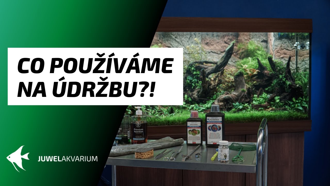 Co používáme na údržbu akvária