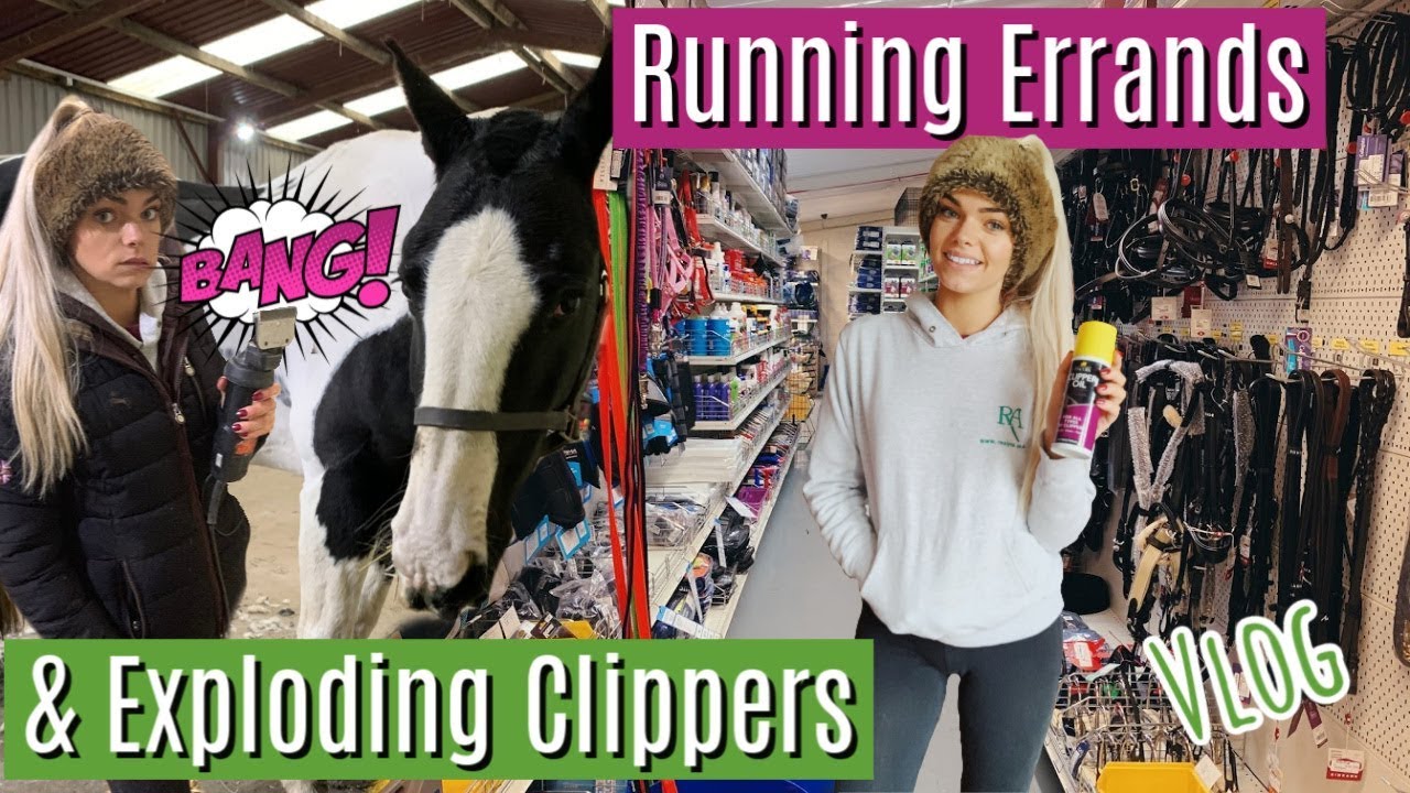 Running Errands & Exploding Clippers | Vlog | Lilpetchannel