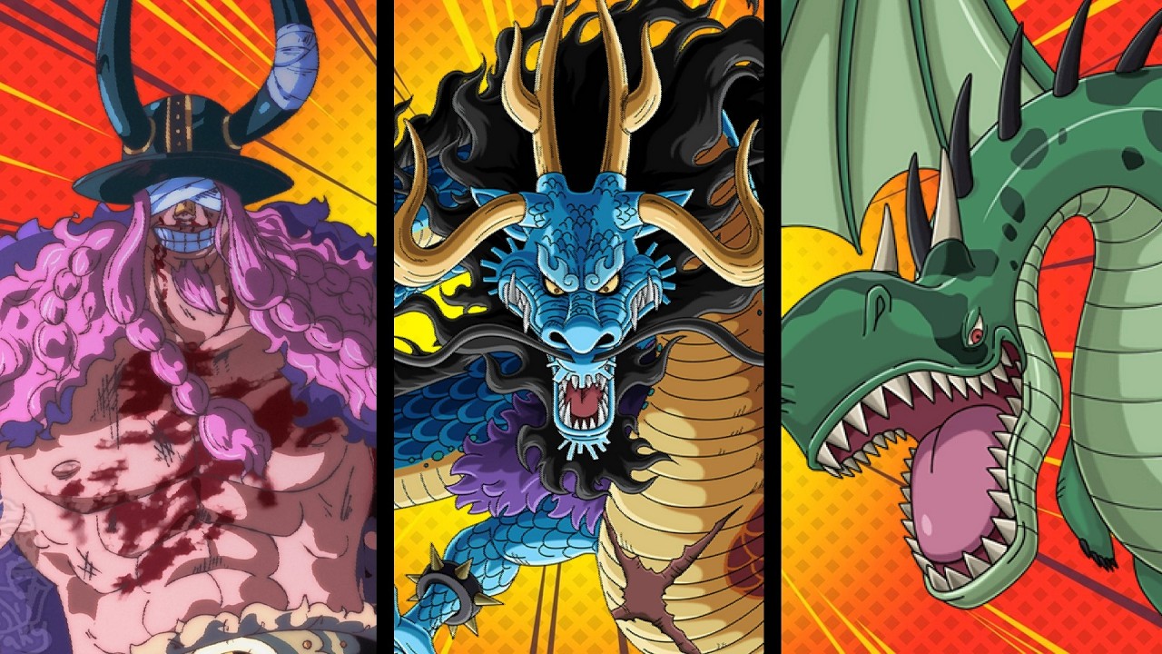 The Dragons Of One Piece!!