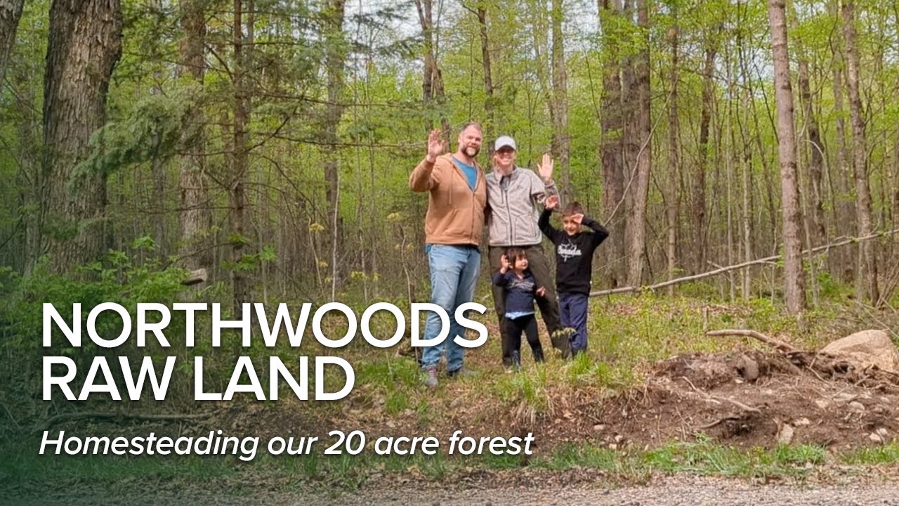 Raw Land to Homestead: Our 20 acres of forest