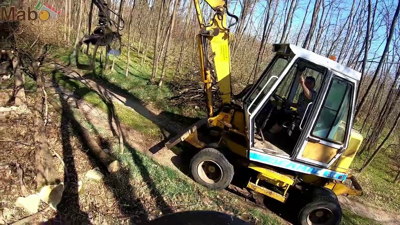 Abbattimento alberi con escavatore tra recinzione e cavi elettrici