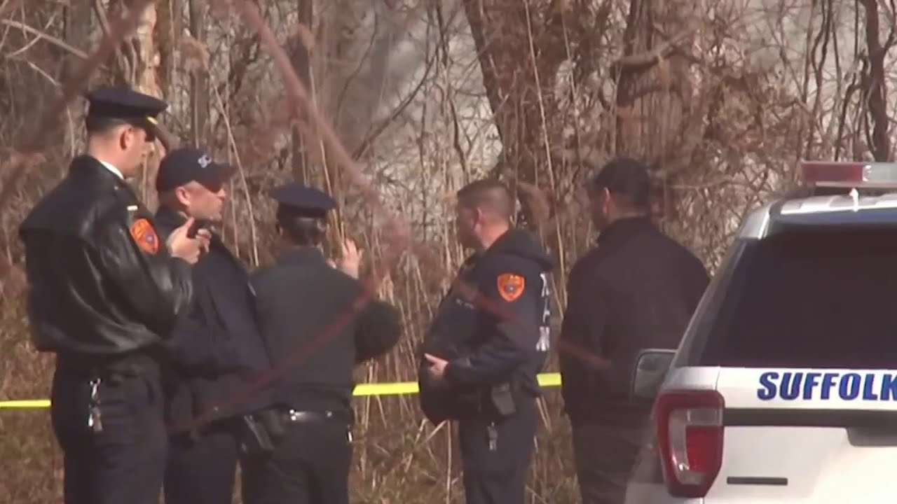 More body parts found at Long Island park | NBC New York