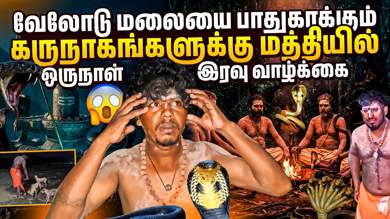 கருநாகங்கள் வாழும் காட்டுக்குள் ஒரு நாள் இரவு வாழ்கை 😱 | நம்ப முடியாத அமானுஷ்யங்கள் | Rj with Kj 