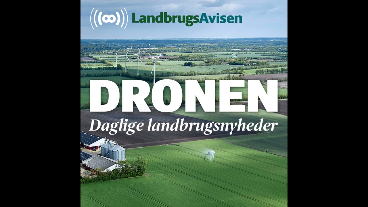 -S&aelig;rligt n&aring;r det g&aelig;lder griseproduktion er debatten stukket helt af