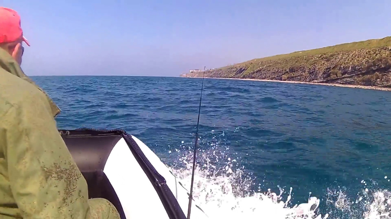 Polar Bird 360M + Yamaha 15 FMHS  (2)