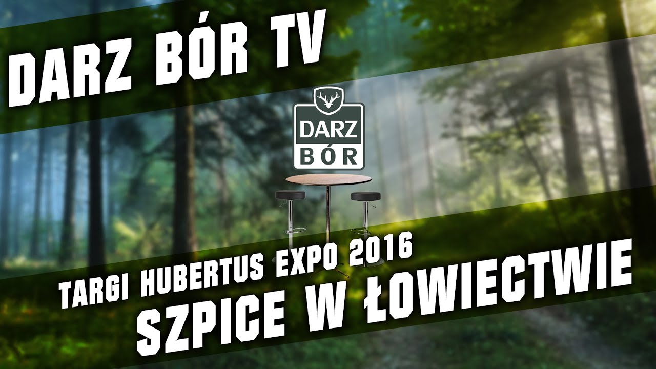 Studio Darz Bór - O pasach ras pierwotnych - Szpice w łowiectwie