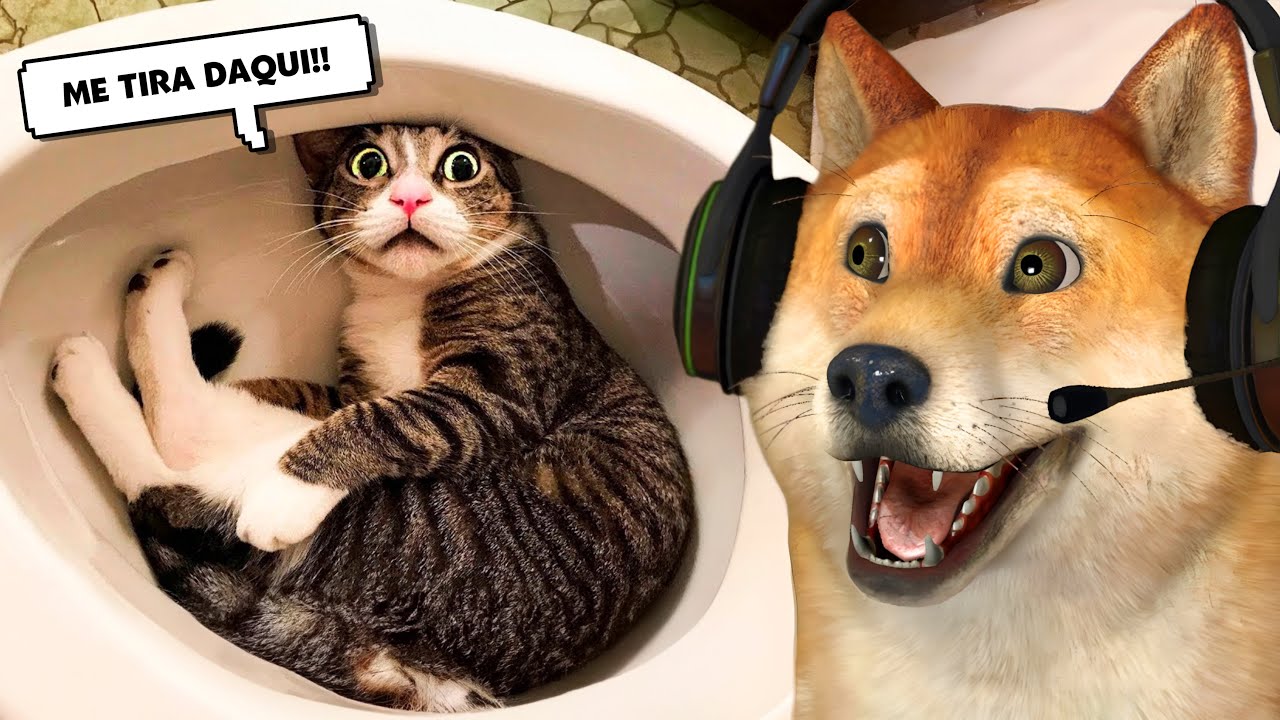 ANIMAIS FALANTES ENGRAÇADOS 2 - TENTE NÃO RIR