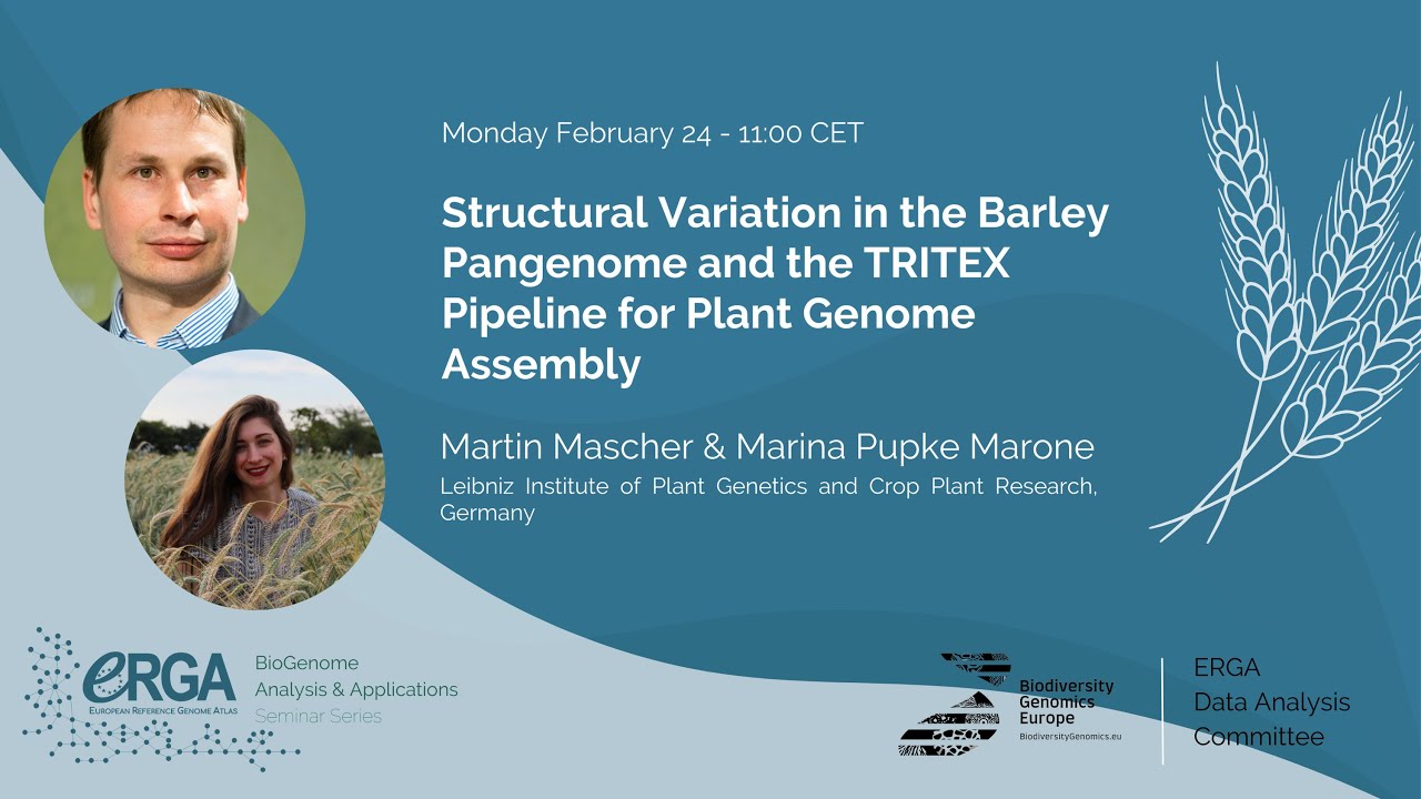 Structural Variation in the Barley Pangenome and the TRITEX Pipeline for Plant Genome Assembly