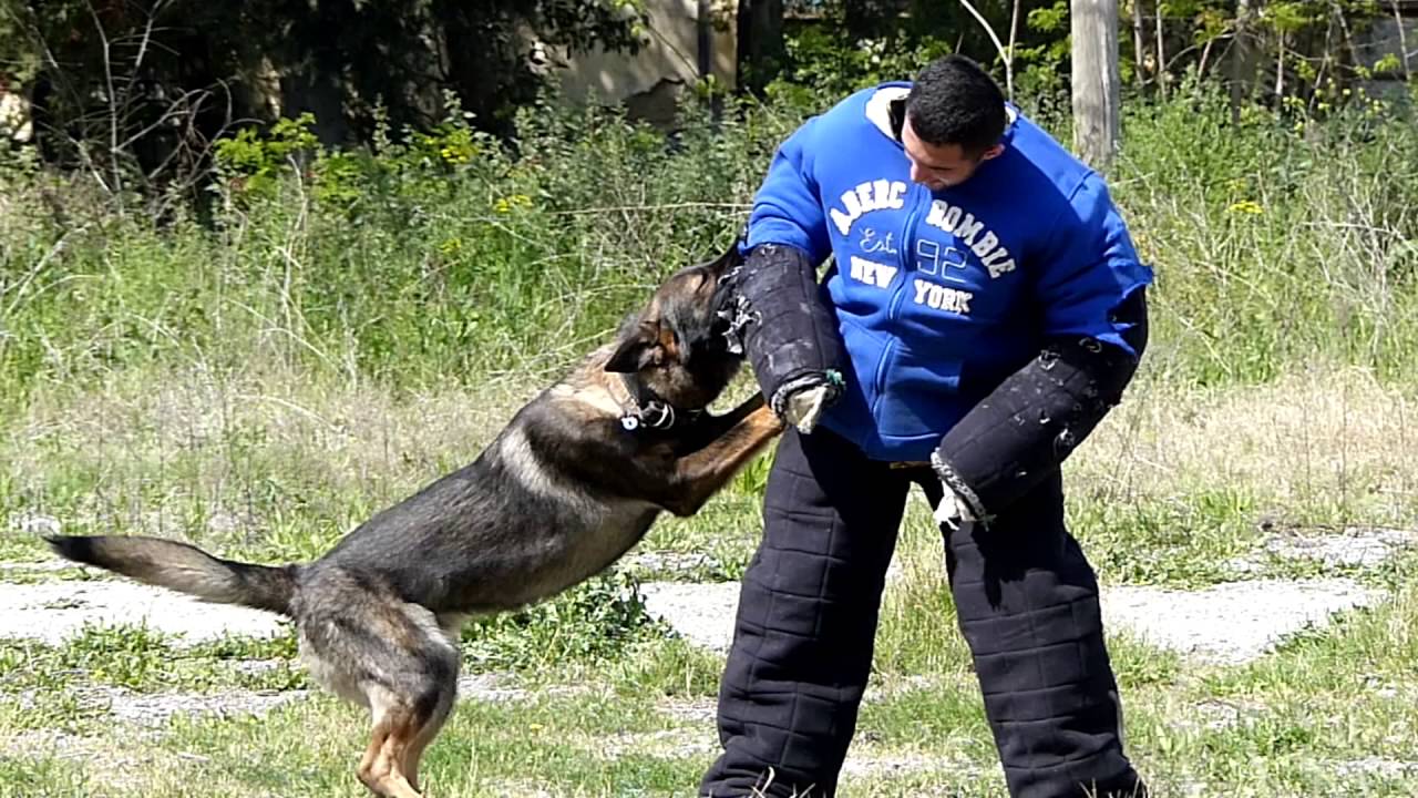 Ζευς 15 μηνών!