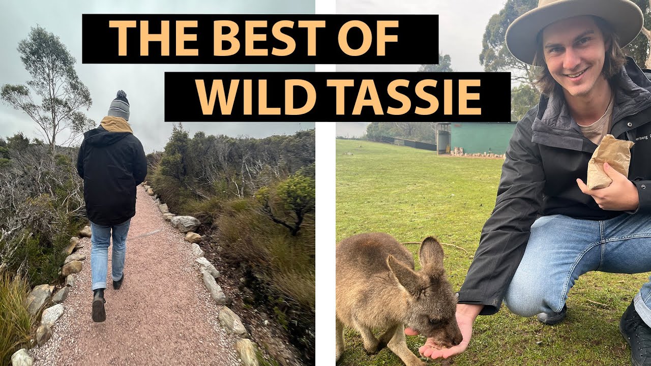 Trowunna Wildlife and Cradle Mountain Wombats | Tasmania