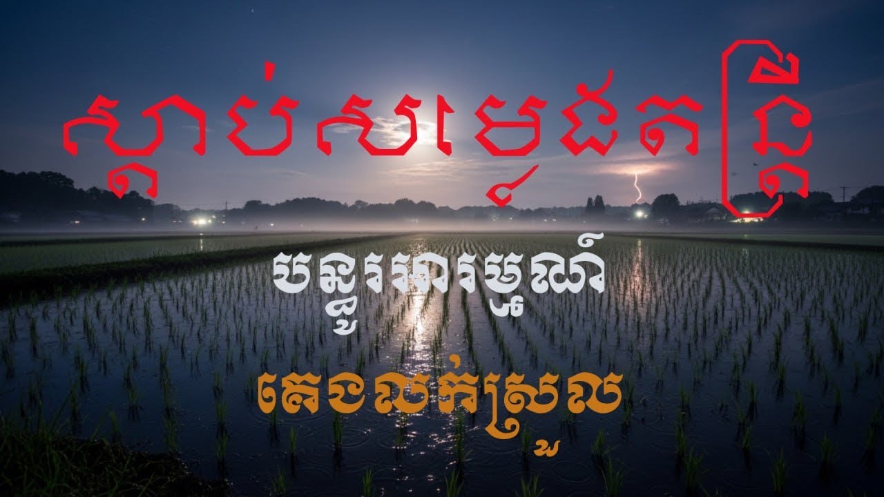 ស្តាប់តន្រ្តីបន្ធូរអារម្មណ៍គេងលក់ស្រួល