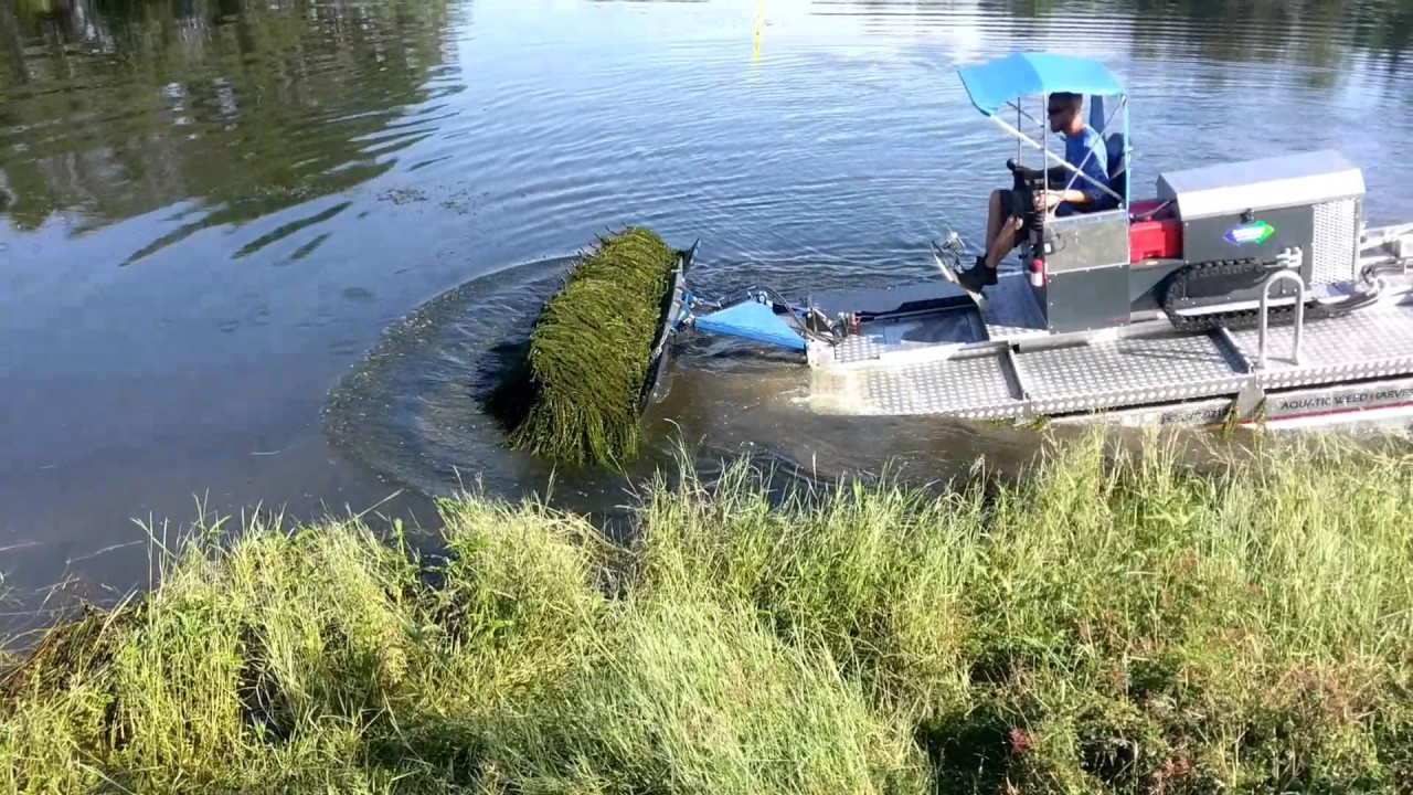 removal of milfoil, aquatic vegetation, aquatic weeds