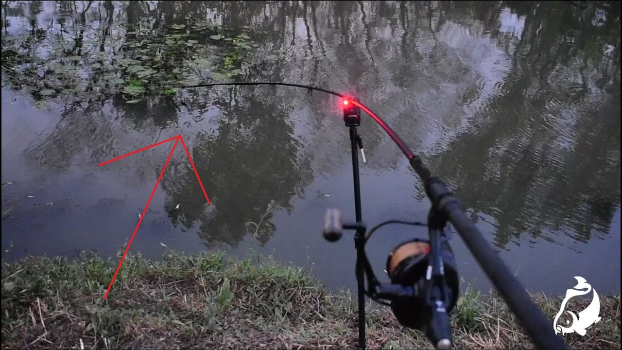 CARP RUN COMPILATION 2020! PART 28!