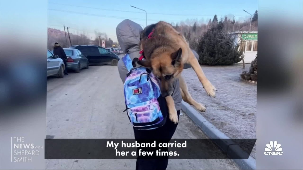 In Their Own Words: Family carries older dog on escape from Ukraine