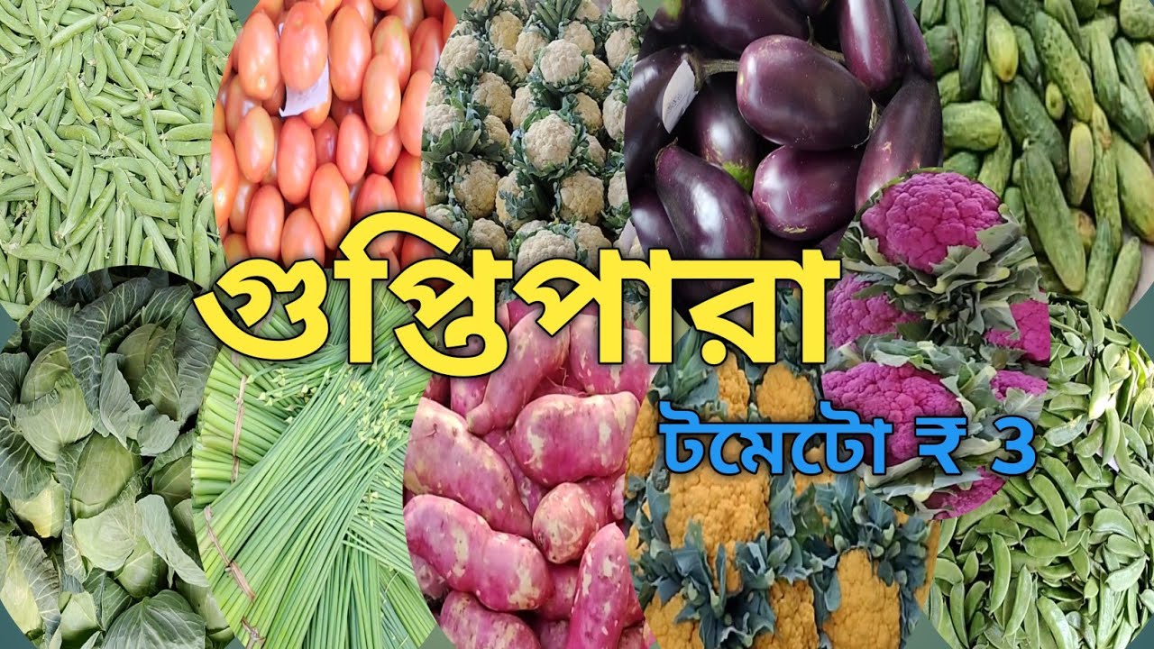 গুপ্তিপাড়া সবজি পাইকারি Godown সবজির দাম খুব কম || wholesale vegitable market in Hooghly Guptipara 