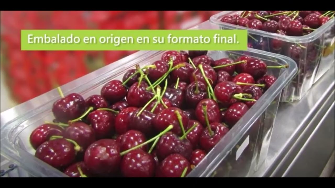 Nueva propuesta de envase en atmósfera modificada