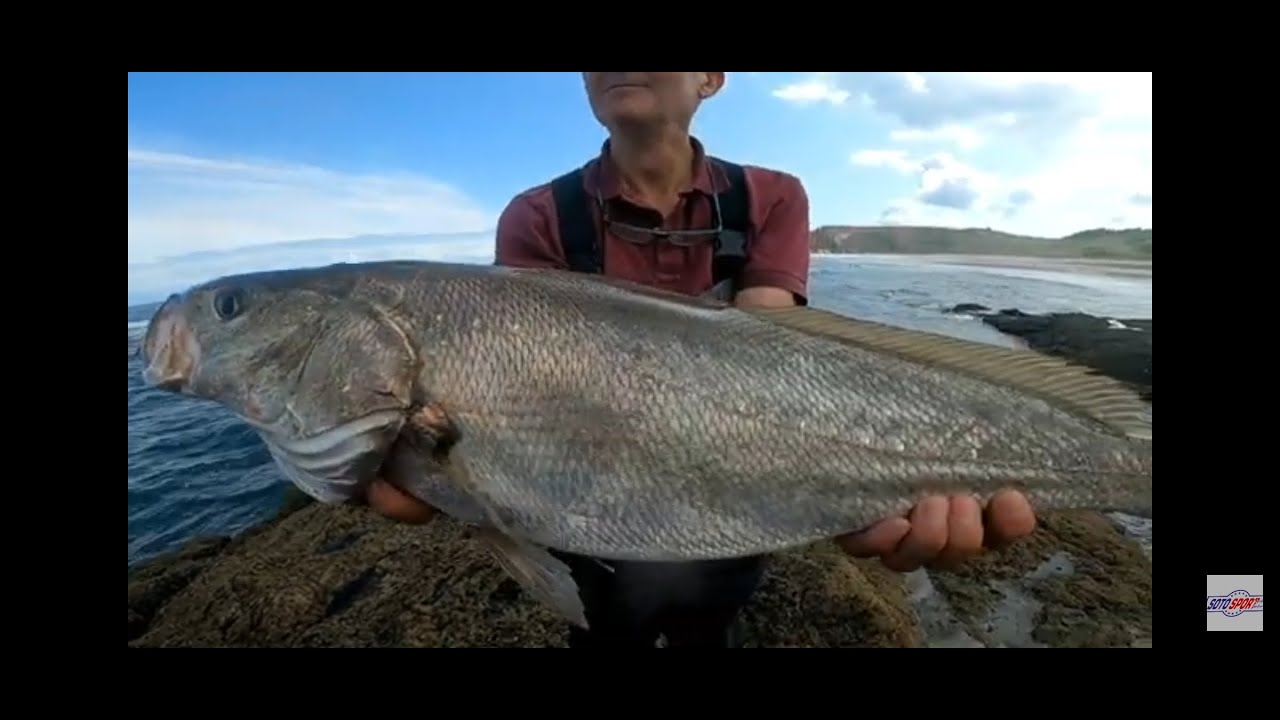 Cap 55: Corvina , sasukes, etc...