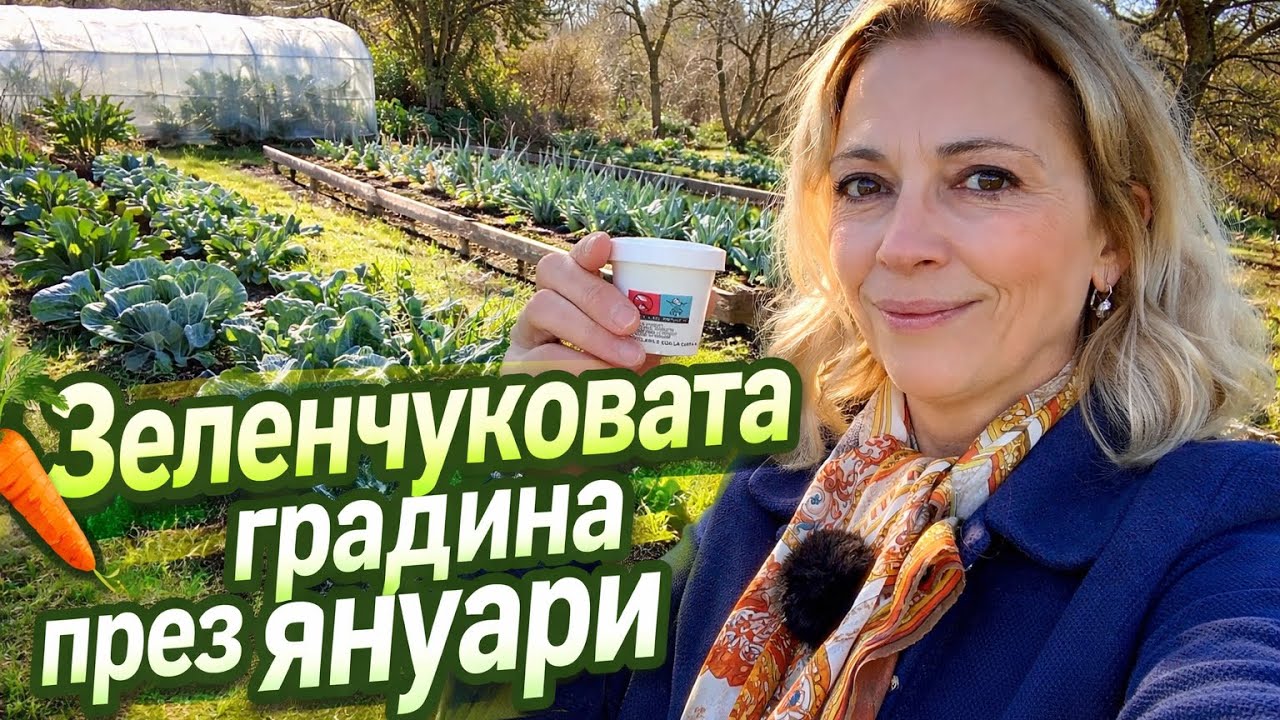 Рим/ кафе в зеленчуковата градина