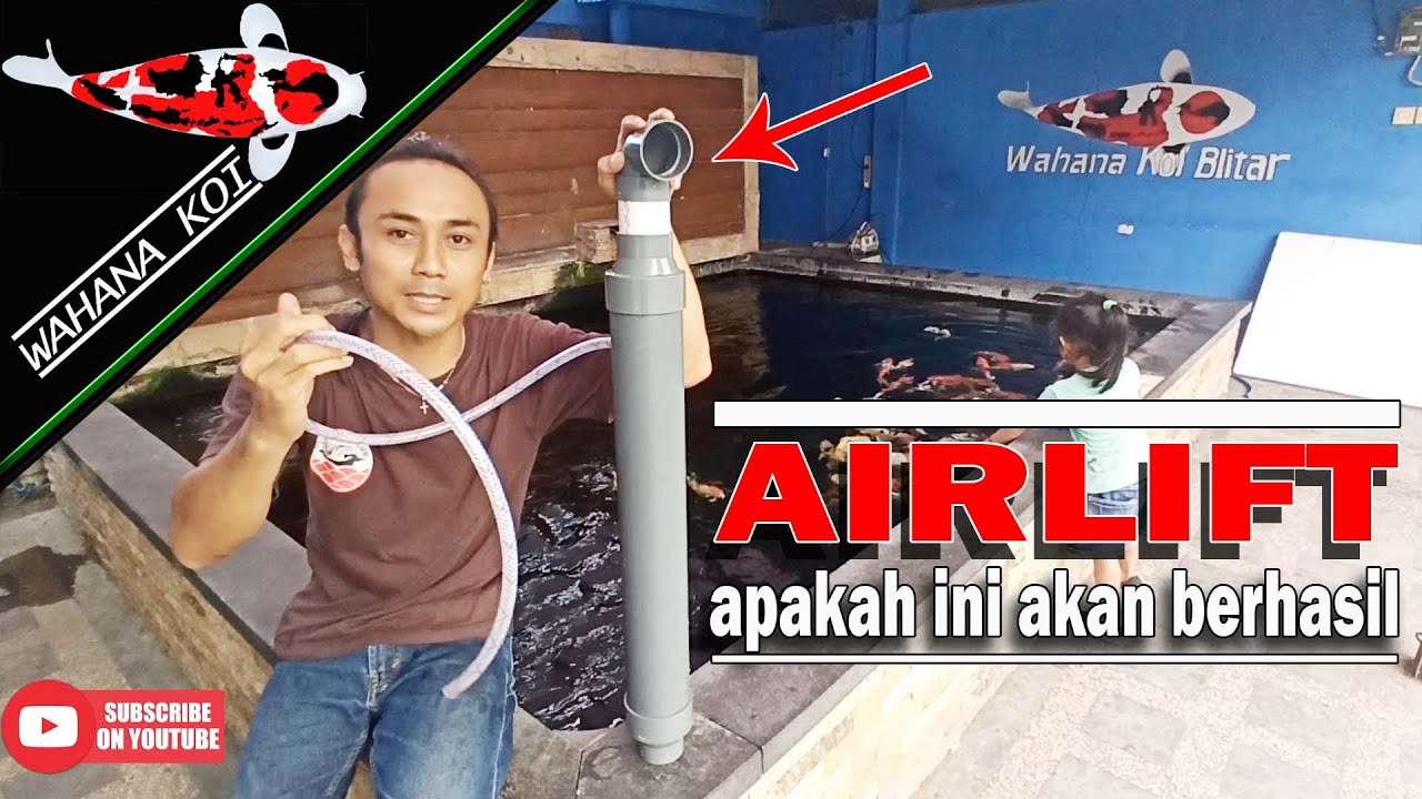 DIY AIRLIFT SEDERHANA DARI PIPA PVC