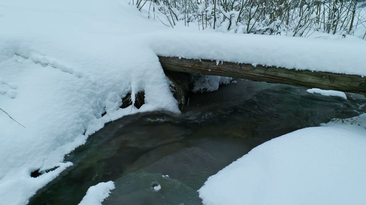 Winter Forest Stream & Snow-Covered Bridge | 3 Hours Nature Sounds for Sleep and Study
