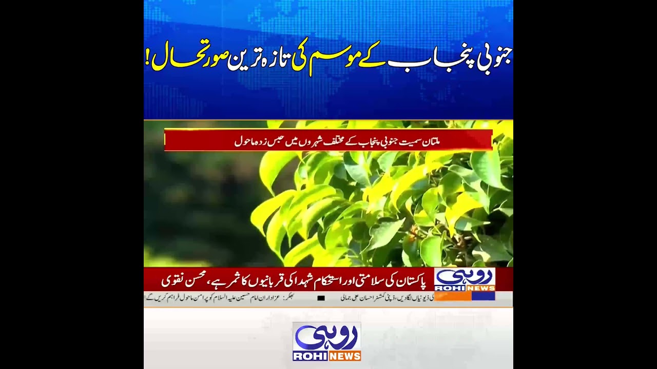 Latest Weather Update of South Punjab | Rain, Temperature & Forecast Details | Rohi