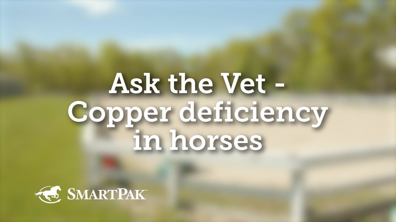 Ask the Vet - Copper deficiency in horses