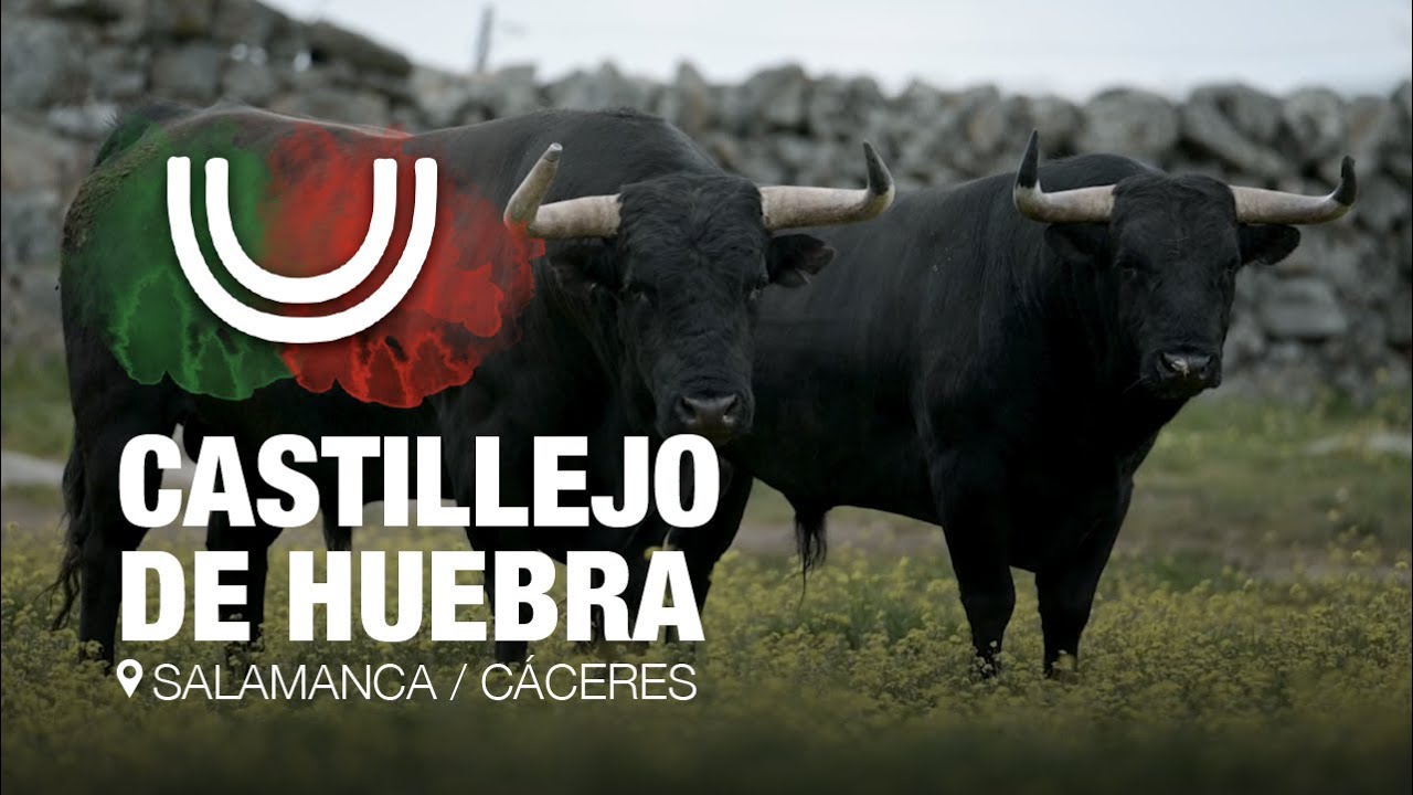 Reportaje en Castillejo de Huebra, este s&aacute;bado repite en la Copa Chenel