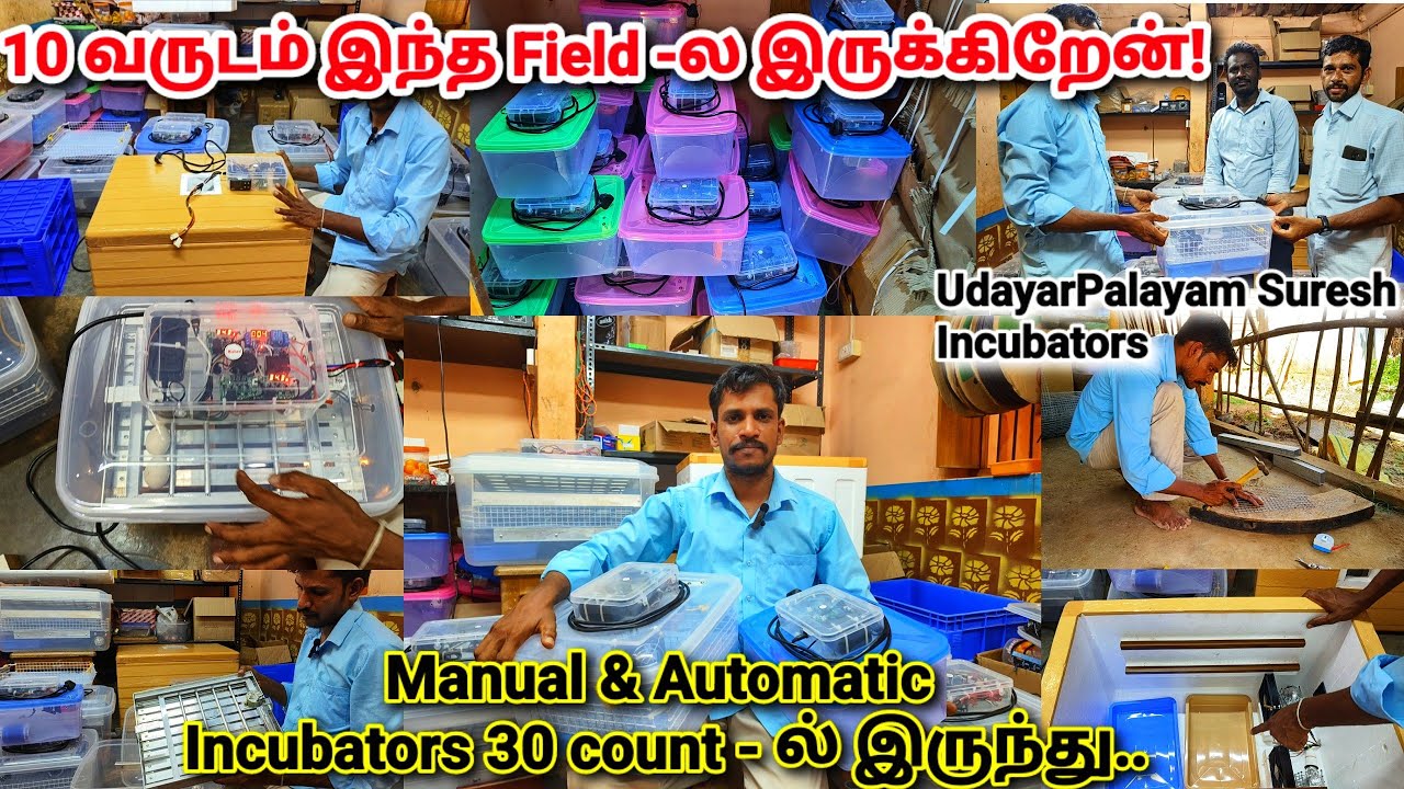 Manual & Automatic Incubators ! Very User Friendly| நானும் கோழி வளத்திருக்கேன்!! All india delivery