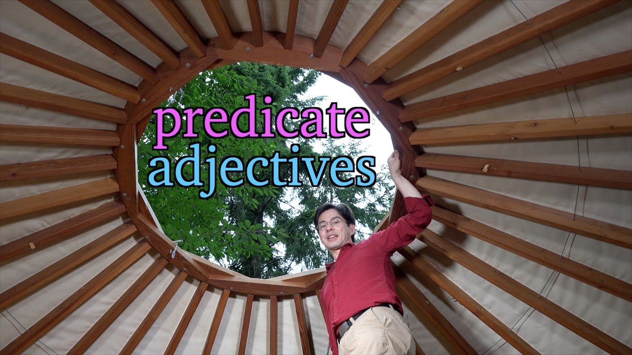 Predicate Adjectives | Definition and Examples