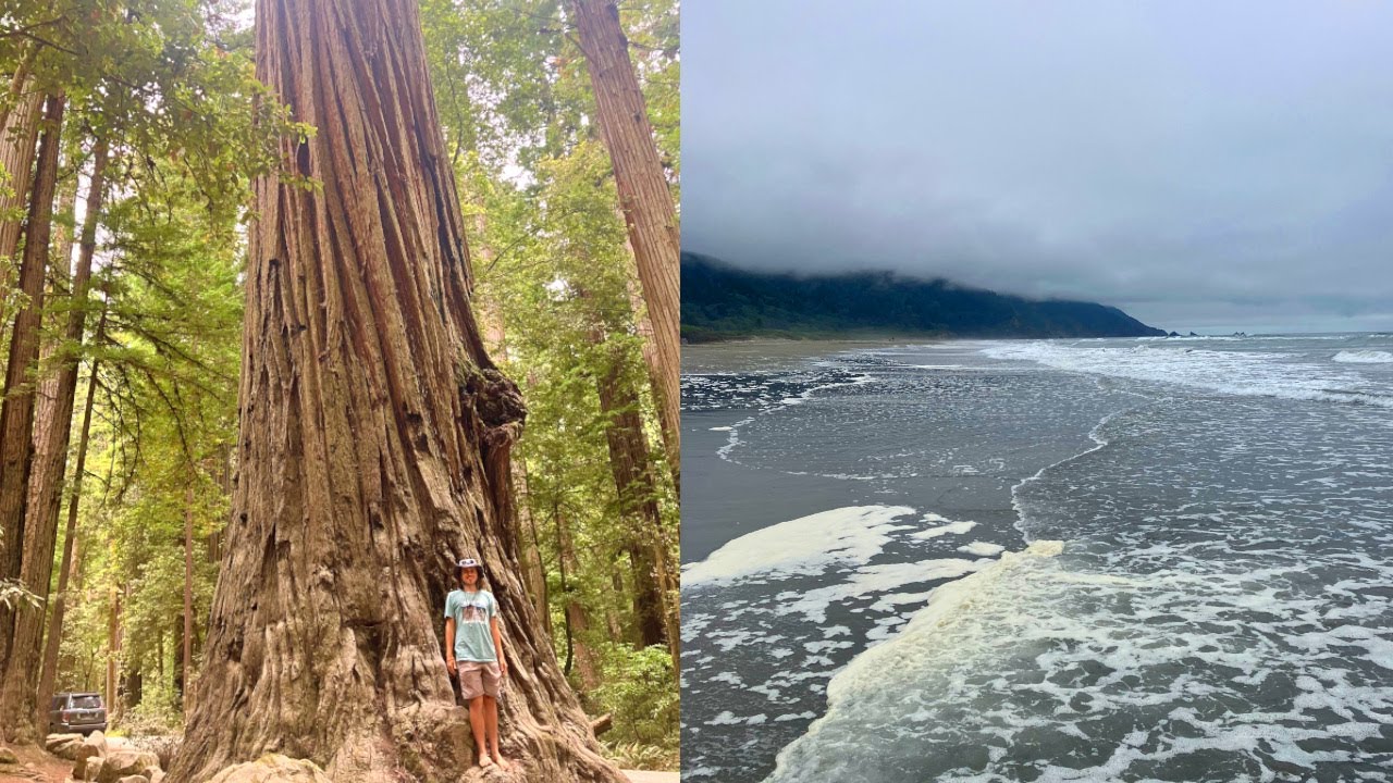 Road Trip Days 28 and 29 - Redwoods National Park and Exploring the California Coast!