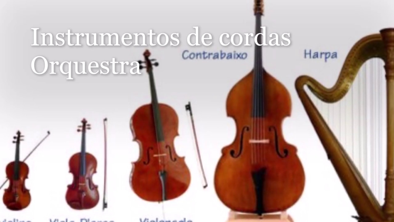 Instrumentos de cordas orquestra (v&iacute;deo aula)
