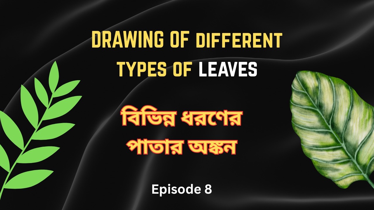 Drawing Different Types of Leaves | Easy Leaf Drawing Tutorial | Episode 8