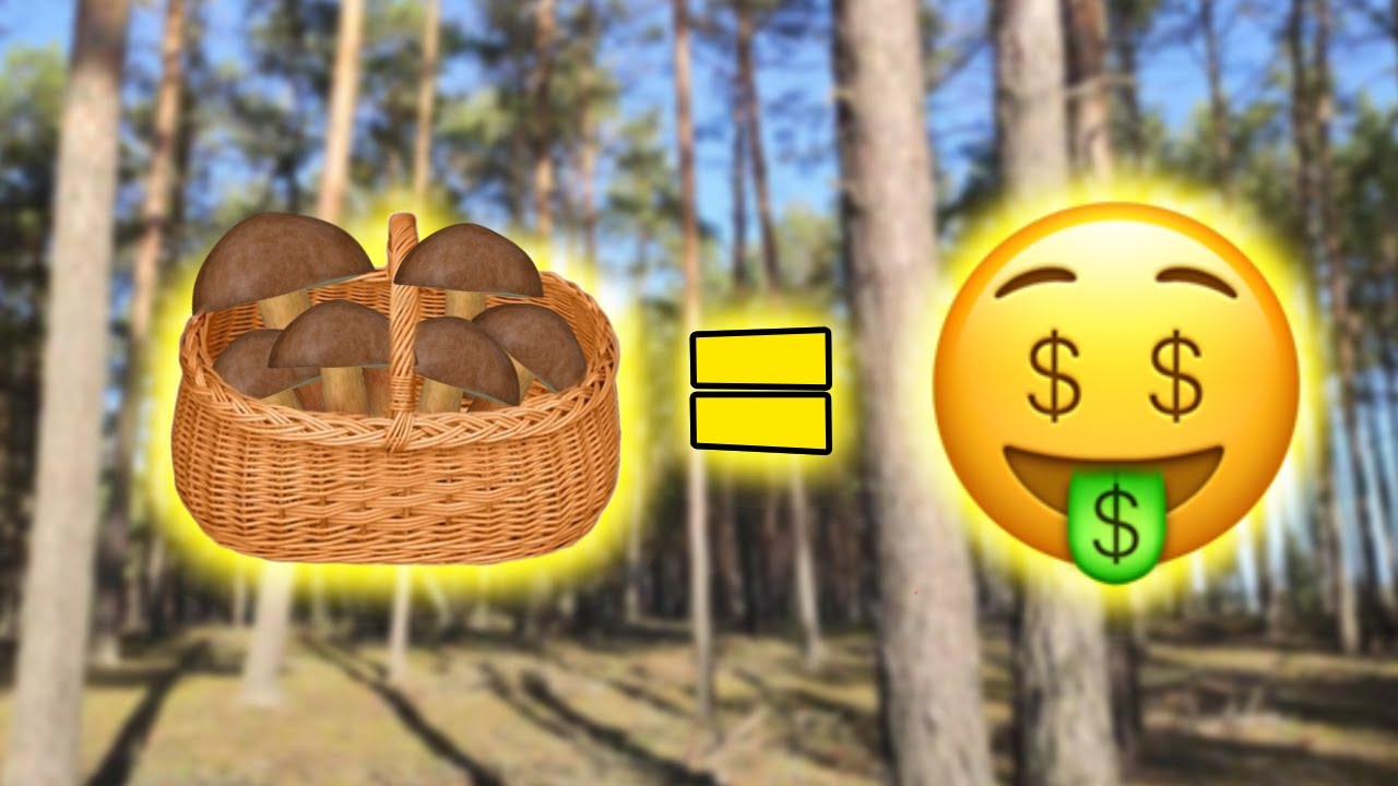 ZNAJDZIESZ WIĘCEJ GRZYBÓW = WYGRYWASZ 🍄🤑