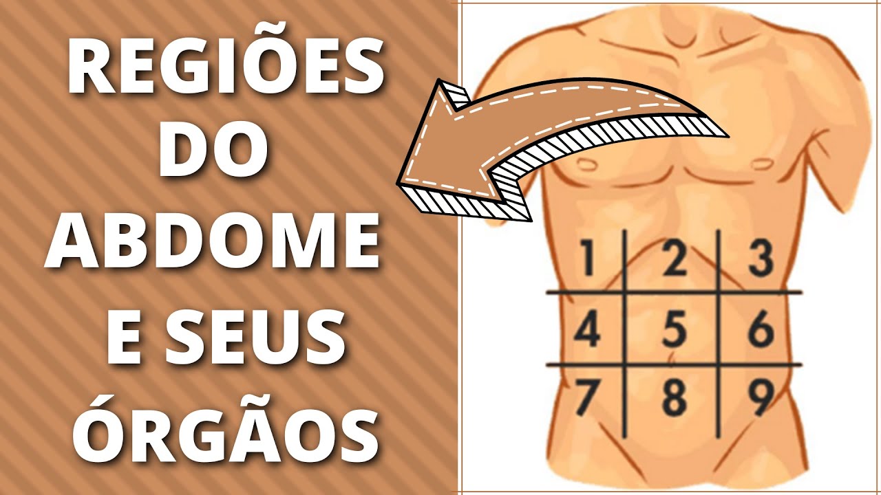 Aprenda as Regiões do Abdome e Seus Órgãos