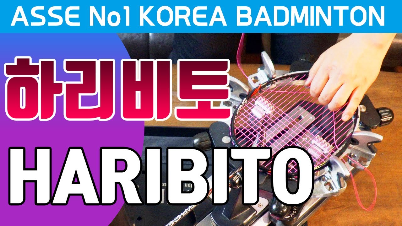 #아세 [ASSE] 하리비토(HARIBITO) 스트링 작업